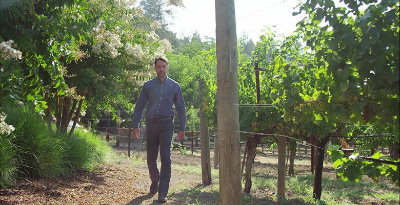 Neil Bernardi walking in the vineyards