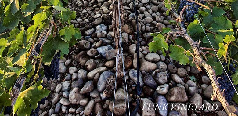 Funk vineyard soil