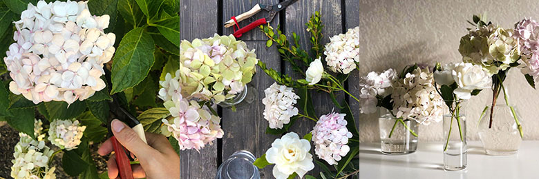 How to make your own bouquet