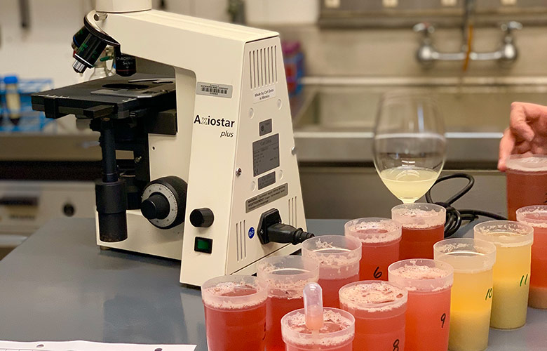 Vineyard Juice Samples in a lab - help decide when to harvest