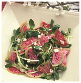 Watermelon Radish Salad