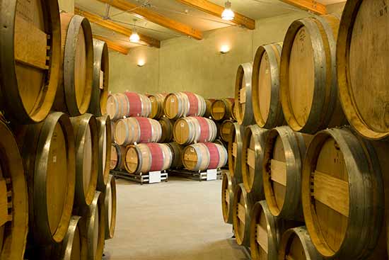 wines in barrel