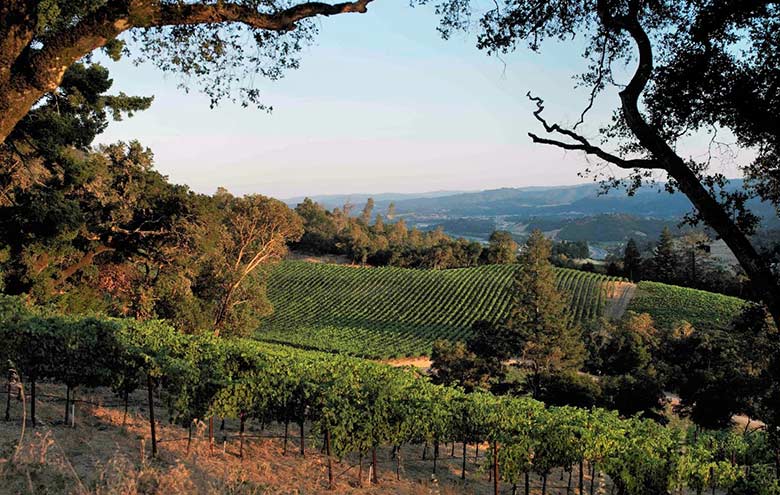 Ridgeline Vineyard in Alexander Valley