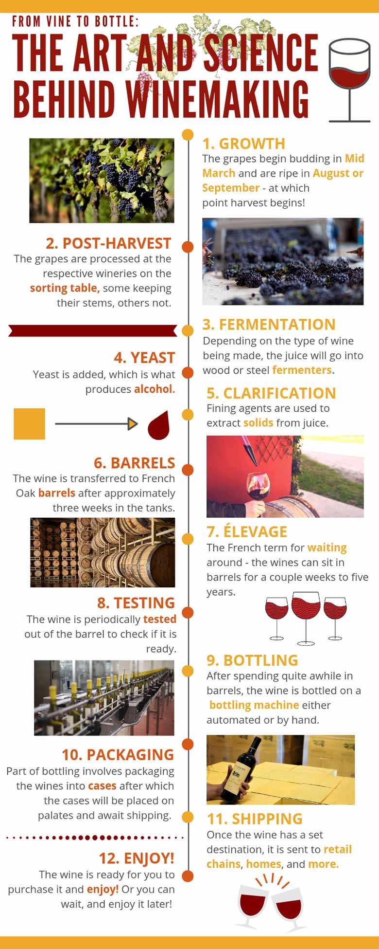 Infographic about the art and science behind winemaking