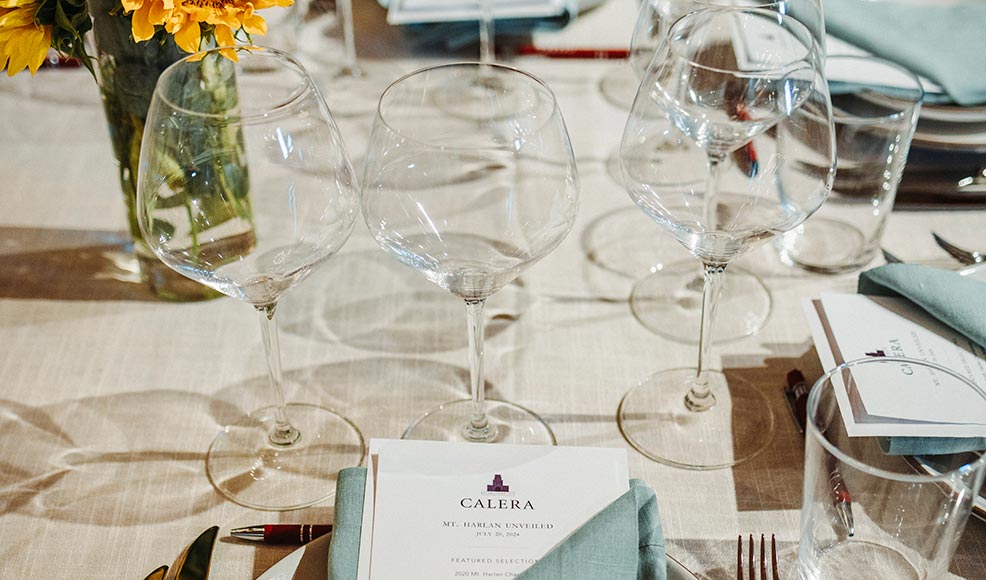 La Dolce Vigna Italian Dinner