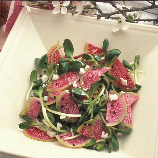 watermelon radish salad