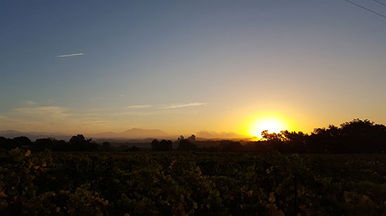 russian river valley at sunrise