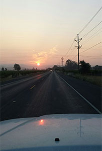 Hazy sunrise in Napa Valley