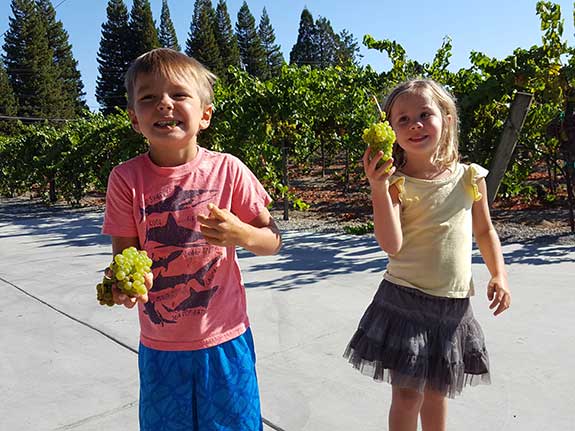 Kids during harvest