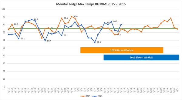 Monitor Ledge Bloom