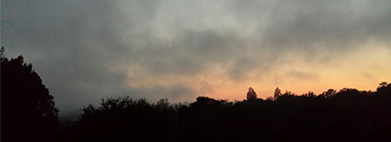 California coastal fog