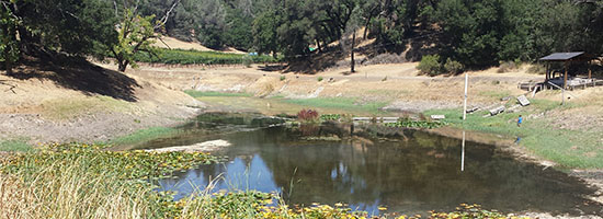 Ridgeline Vineyard Pond