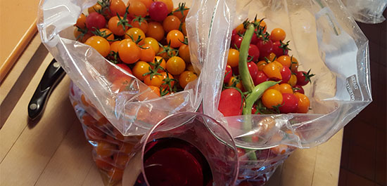 Tomato Harvest