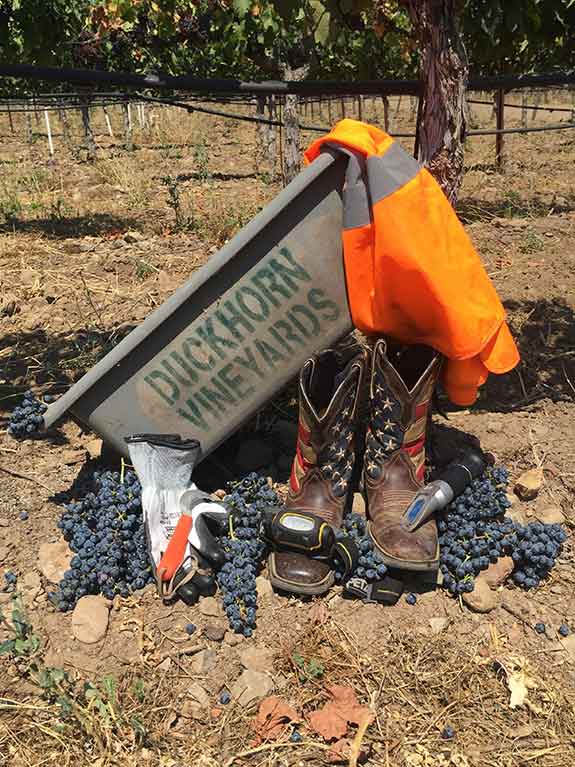 Vineyard Tools