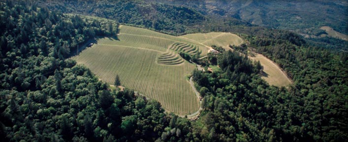 Candlestick Ridge Vineyard