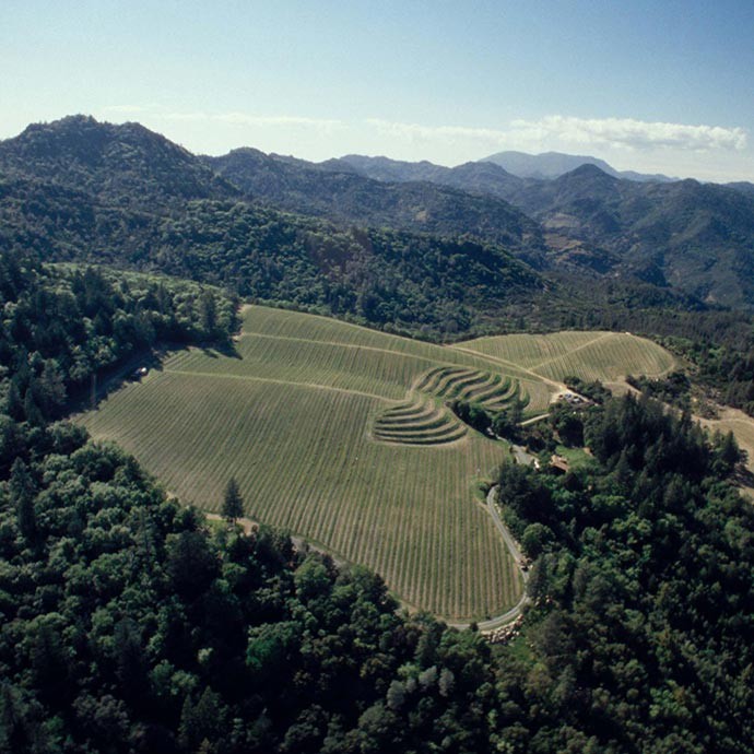 Aerial image of Howell Mountain and location of our Stout Vineyard