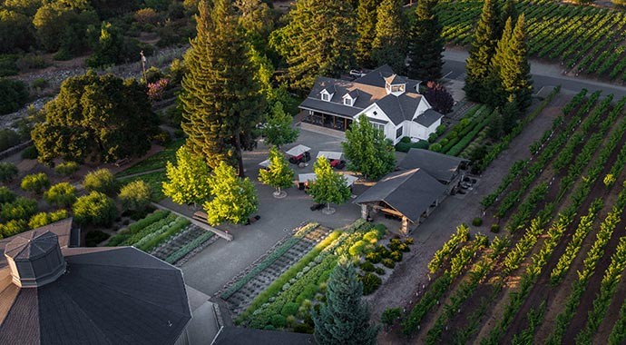 Pararduxx aerial courtyard and vineyard view in Napa Valley